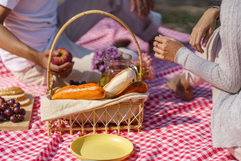 picnic con amigos
